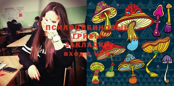 бошки Бородино