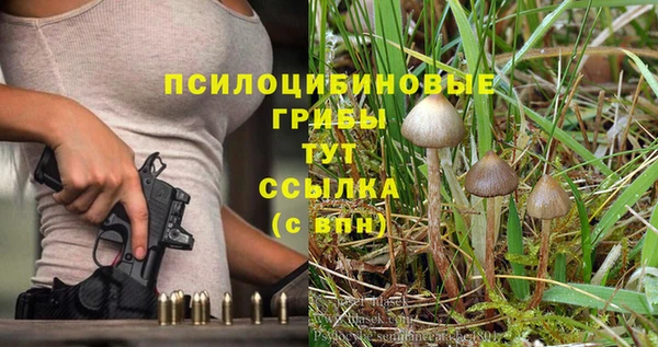 марки lsd Бугульма