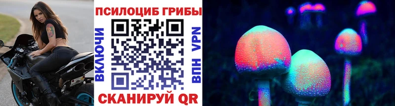 Купить  Бирюсинск  Галлюциногенные грибы Psilocybine cubensis 